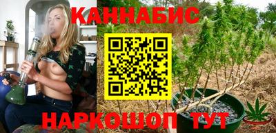 гидра Тара