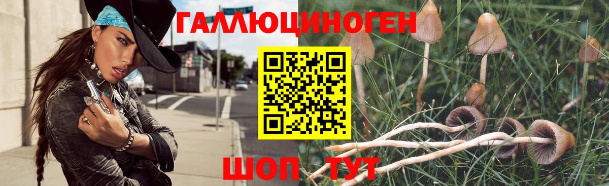 Псилоцибиновые грибы мухоморы Сарапул